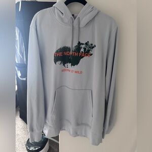 The North Face Hoodie